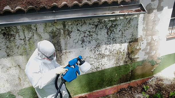 Clearance testing in Chester